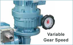 Variable gear Speed